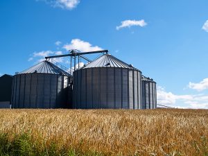 Marshall Texas Farm Insurance