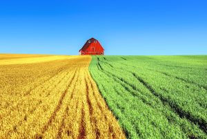 Farm Insurance Kilgore Texas