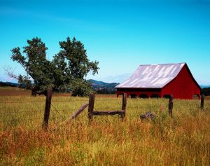 Insurance for Farmers Bonham Tx